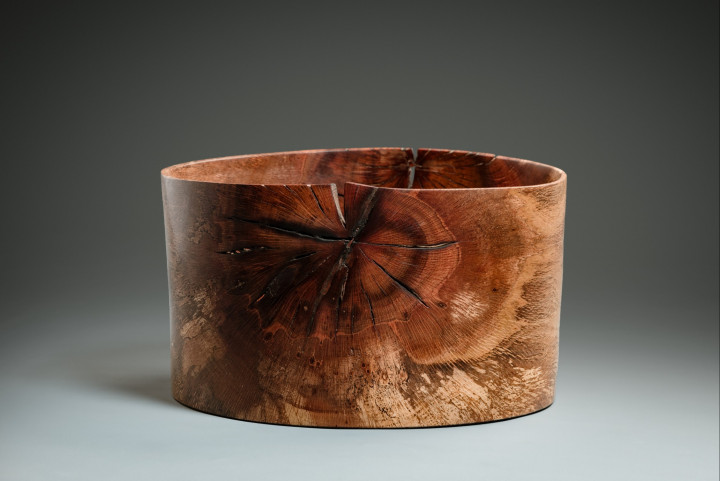 Ulme, 54 × 24 cm - Andreas Senoner