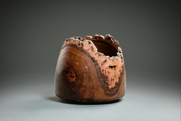 Ahorn, 42 × 26 cm - Andreas Senoner
