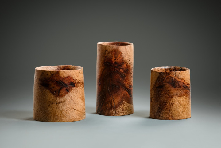 Nussbaum, 24 × 18 cm - Andreas Senoner