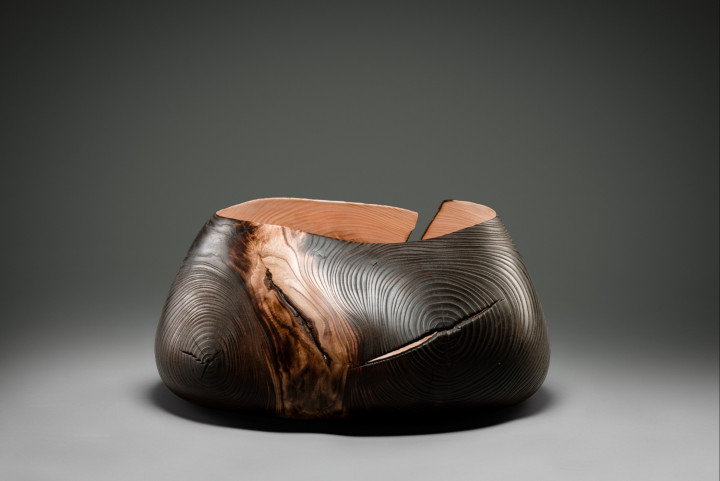 Esche, 46 × 24 cm - Andreas Senoner