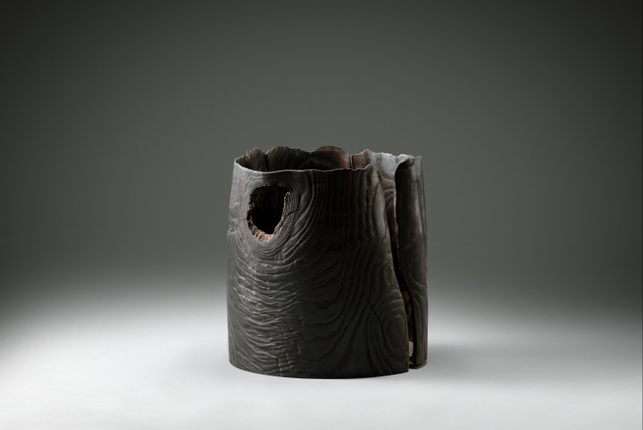 Esche, 55 × 10 cm - Andreas Senoner