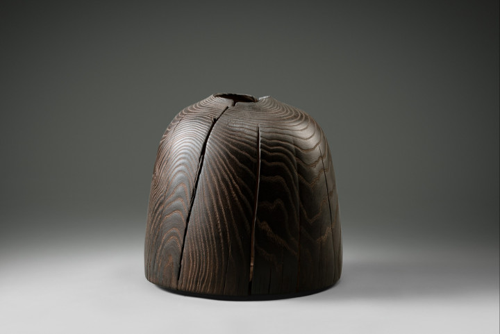 Esche, 29 × 33 cm - Andreas Senoner