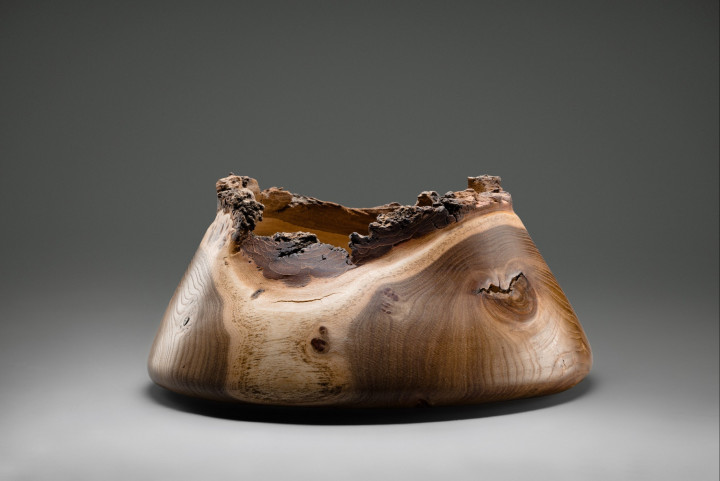 Esche, 47 × 45 cm - Andreas Senoner