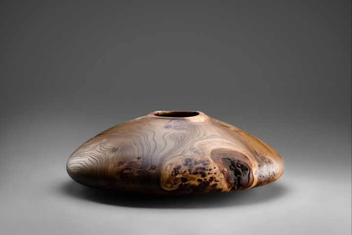 Ulme, 62 × 28 cm - Andreas Senoner