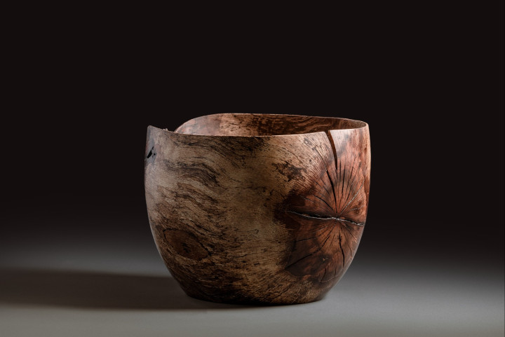 Nussbaum, 35 × 32 cm - Andreas Senoner