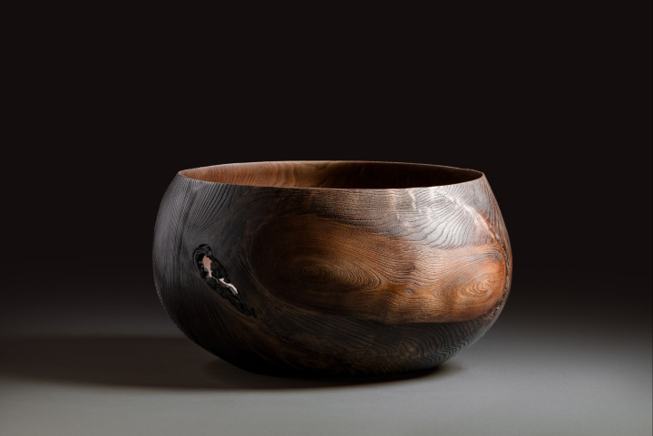 Buche, 33 × 27 cm - Andreas Senoner
