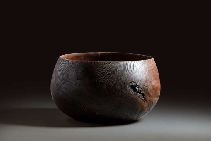 Buche, 36 × 29 cm - Andreas Senoner