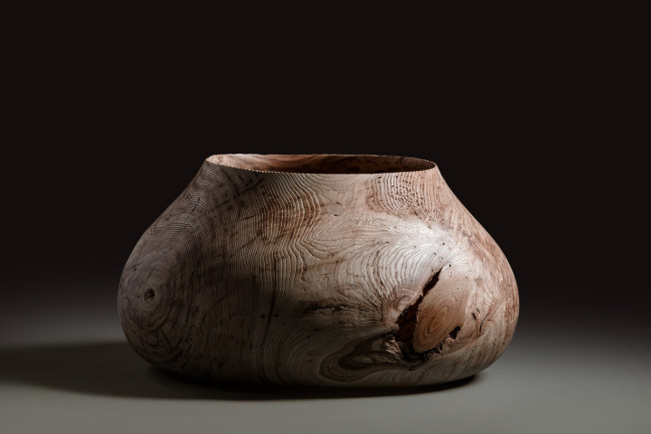 Buche, 38 × 34 cm - Andreas Senoner