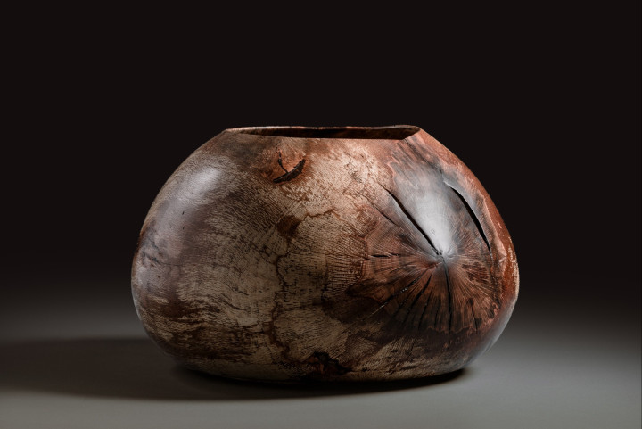 Buche, 32 × 64 cm - Andreas Senoner