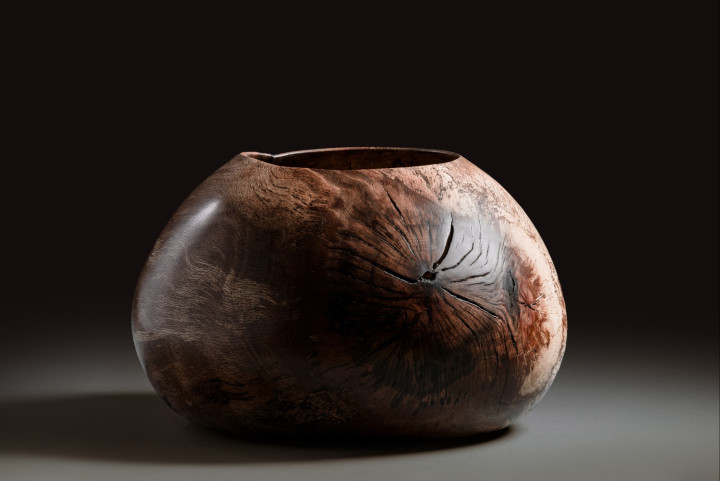 Buche, 34 × 30 cm - Andreas Senoner