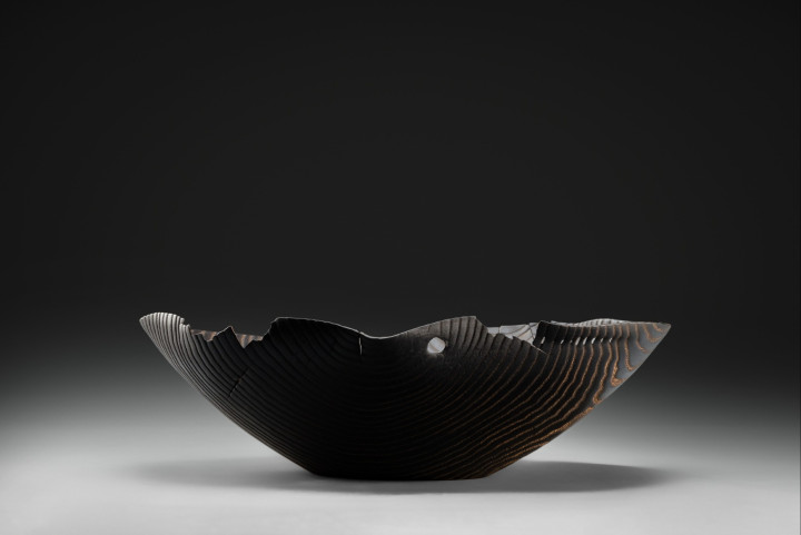 Esche, 49 × 12 cm - Andreas Senoner